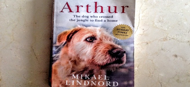 The front cover of 'Arthur'
